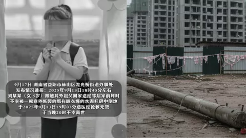 湖南益阳